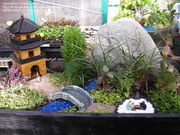 Tiny Japanese Garden Miniatyurnyj Sad Miniatyurnye Volshebnye Sady Sady V Stile Dzen