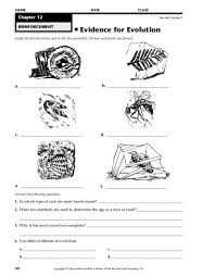 If species are closely related, then they must have come from a common ancestor that evolved over time into two separate species. Evidence For Evolution Worksheet For 7th 12th Grade Lesson Planet