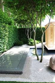Beautiful Multistem Trees Clear Stems Allowing View Through Courtyard Gardens Design Zen Garden Design Small Courtyard Gardens