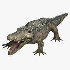 Alligator 3d Model Ad Alligator Model Graphic Design Portfolio Examples 3d Model Alligator