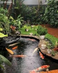 41 Amazing Fish Pond Gardens Design Ideas To Beautify Your Yard Garden Pond Design Waterfalls Backyard Fish Pond Gardens