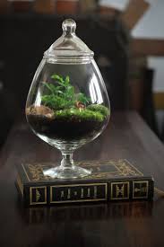 A Round Pedestal Terrarium Made From An Oversized Brandy Snifter Terrarium Moss Plants Terrarium Plants In Jars Garden Terrarium