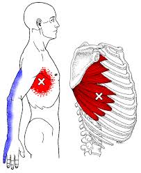 Pin On Massage Therapy And Bodywork