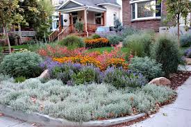 Garden Makeover Beautiful Salt Lake City Bungalow With Native Plants Backyard Landscaping Garden Makeover
