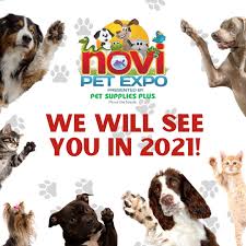 This regional event is set to start on 13 november 2020, friday in novi, mi novi pet expo is michigan's largest annual celebration of all furry, feathered and finned family members. Novi Pet Expo Home Facebook
