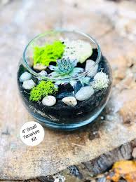 Terrarium Kit Small Succulent Terrarium Kit Diy Glass Etsy Mini Terrarium Terrariums Kits Plant Gifts
