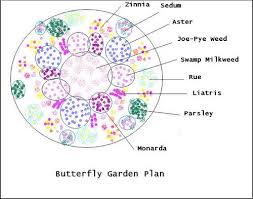 Butterfly Garden Plans Not Sure About All The Choices But Worth Researching Butterfly Garden Design Butterfly Garden Layout Monarch Butterfly Garden
