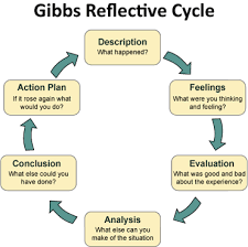 Final Reflection On My Experiences And Knowledge From Core Module 1 Overview I Am Writing This E Reflective Teaching Reflective Learning Reflective Journal