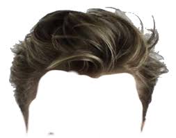 Pin By Trang Trần On Pngs Photoshop Hair Hair Png Download Hair