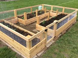 My Square Food Garden In Spring Rabbit Proof Vegetable Garden Raised Beds Small Backyard Gardens Raised Garden