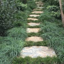 Http Shop Unquadratodigiardino It Graminacee E Erbe Ornamentali Da Ombra 11 Carex Flacca Buis Html Ornamental Grasses Plants Small Plants