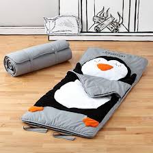 Between The Pillow Fights Snacking And Giggling Sleepovers Can Get Pretty Wild Luckily We Have Sleeping Kids Sleeping Bags Toddler Sleeping Bag Sleeping Bag