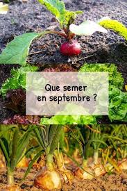 Epingle Sur Thermomix