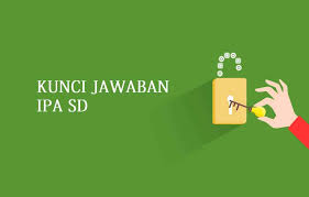 Kunci Jawaban Ipa Sd 2018 Usbn Disertai Pembahasan Kependidikan Com