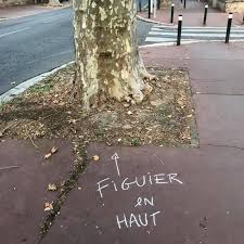 A Toulouse Un Botaniste S Est Amuse A Renseigner A La Craie Le Nom Des Plantes Qui Poussent Sur Les Trottoirs Trottoir Illustration Botanique Plante