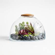 Large Glass Terrarium With Wood Lid Arrangement Crate And Barrel In 2020 Large Glass Terrarium Glass Terrarium Terrarium