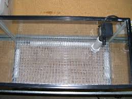 Live Rock Filtration Systems Aquarium Filter Amazing Aquariums Diy Aquarium Filter