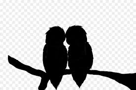 Love Bird Png Download 1800 1200 Free Transparent Beak Png Download Cleanpng Kisspng Please to search on seekpng.com. clean png