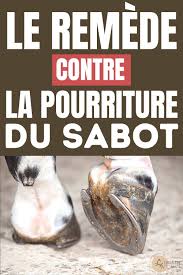 Le Traitement Naturel Contre La Pourriture Du Sabot Sabot Cheval Cheval Soins Des Chevaux