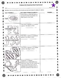 You can & download or print using the browser document reader options. Evidence For Evolution Worksheet By Biology Buff Tpt