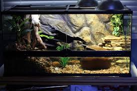 Fs 40 Gallon Exoterra Terrarium W Everything Musk Turtle Turtle Tank Aquatic Turtle Habitat