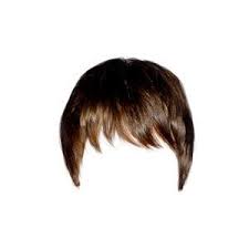 Part01 Real Hair Png Zip File Free Download Men Hair Pngs For Picsart Or Photoshop Hd Transparent Hair Png Edit Hair Png Boy Hairstyles Mens Hairstyles