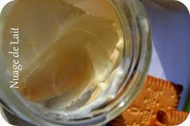 Yaourts Maison Saveur Petit Beurre Nuage De Lait Petit Beurre Recette Yaourt Maison Yaourt Maison