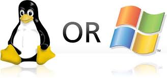 Which Is Better A Linux Virtual Private Server Or A Windows Vps Web Werks Virtual Private Server Linux Web Hosting