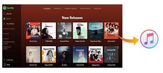 Download Spotify Playlist To Mp3 Spotify Playlist Music Converter Spotify Music