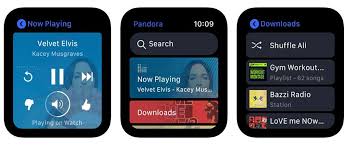 La Aplicacion Pandora Para El Apple Watch Ya Es Compatible Con Siri En 2020 Apple Watch Pandora Iphone