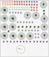 Growveg Com Orchard Design Garden Grubs Backyard Farming