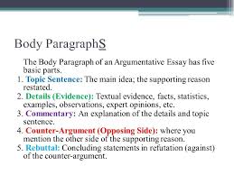 Introductory Paragraph Essay Example The Process Essay The Process Pattern Of Organization Is Espe Body Paragraphs Essay Introduction Paragraph Essay Examples
