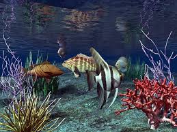 Fish Aquarium Live Wallpaper Free Download For Pc Animated Wallpaper For Pc Live Wallpaper For Pc 3d Animation Wallpaper