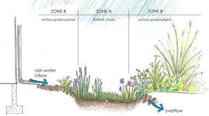 Image Result For Rain Garden Design Rain Garden Design Rain Garden Garden Design