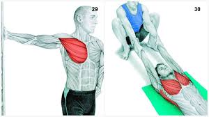 36 Pictures To See Which Muscle You Re Stretching Best Stretching Exercises Muscle Stretches Flexibility Routine
