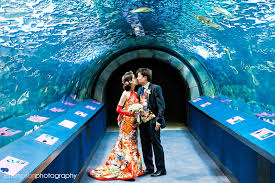 Hana Song Aquarium Wedding Aquarium Wedding Ocean Wedding Theme Newport Aquarium
