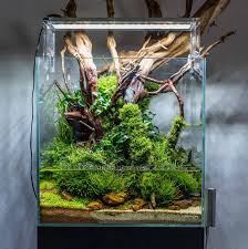 Favourites Nano Tank By Vladimir Trcka This Picture Was Taken During A Water Change But Still The Tank Quality Is Impres Nature Aquarium Aquarium Aquascape