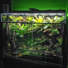 Redhead Tank Vivarium Frog Terrarium Planted Aquarium