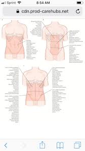 Pin On Health