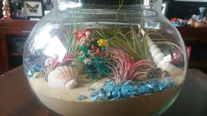 Ariel Underwater Terrarium Terrarium Terrarium Diy Disney Diy