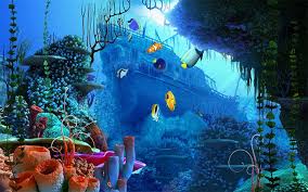 50 Best Aquarium Backgrounds Underwater Wallpaper Underwater Background Ocean Underwater