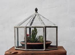 Octagon Terrarium Dome Terrarium Domes Terrarium Cake Dome
