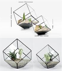 Source Decorative Terrarium Glass Geometric Glass Terrarium Wholesale On M Alibaba Com Terrarium Glass Terrarium Terrariums Kits