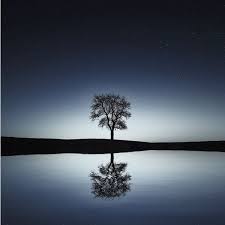 Album 2019 June 30 Sounds Of Peace Serenity Tranquility Zen Music Garden Spa Spa Restaurant Music Academy Qobuz Download And Streaming In High Quality Magical, meaningful items you can't find anywhere else. 2019 june 30 sounds of peace serenity tranquility