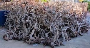 Aquarium Driftwood Used In Aquascaping Hardscape Essentials Part 3 Aquascaping Love Hardscape Aquascape Aquarium Driftwood