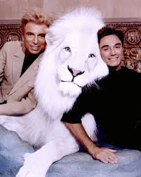 They could only use young cats in their shows, which started in 1981. Was There A Cover Up Around Siegfried Roy S Tiger Attack