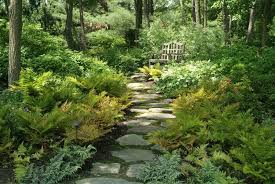 Landscape Design Portfolio Sisson Landscapes Shade Garden Design Shade Garden Woodland Garden