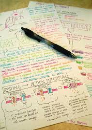 Determined To Succeed Study Notes Pretty Notes College Study