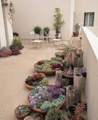 Terrace Planting And Green Patio Ideas Jardim De Suculentas Jardinagem E Decoracao Suculentas