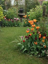 Sue S Garden Plants Garden